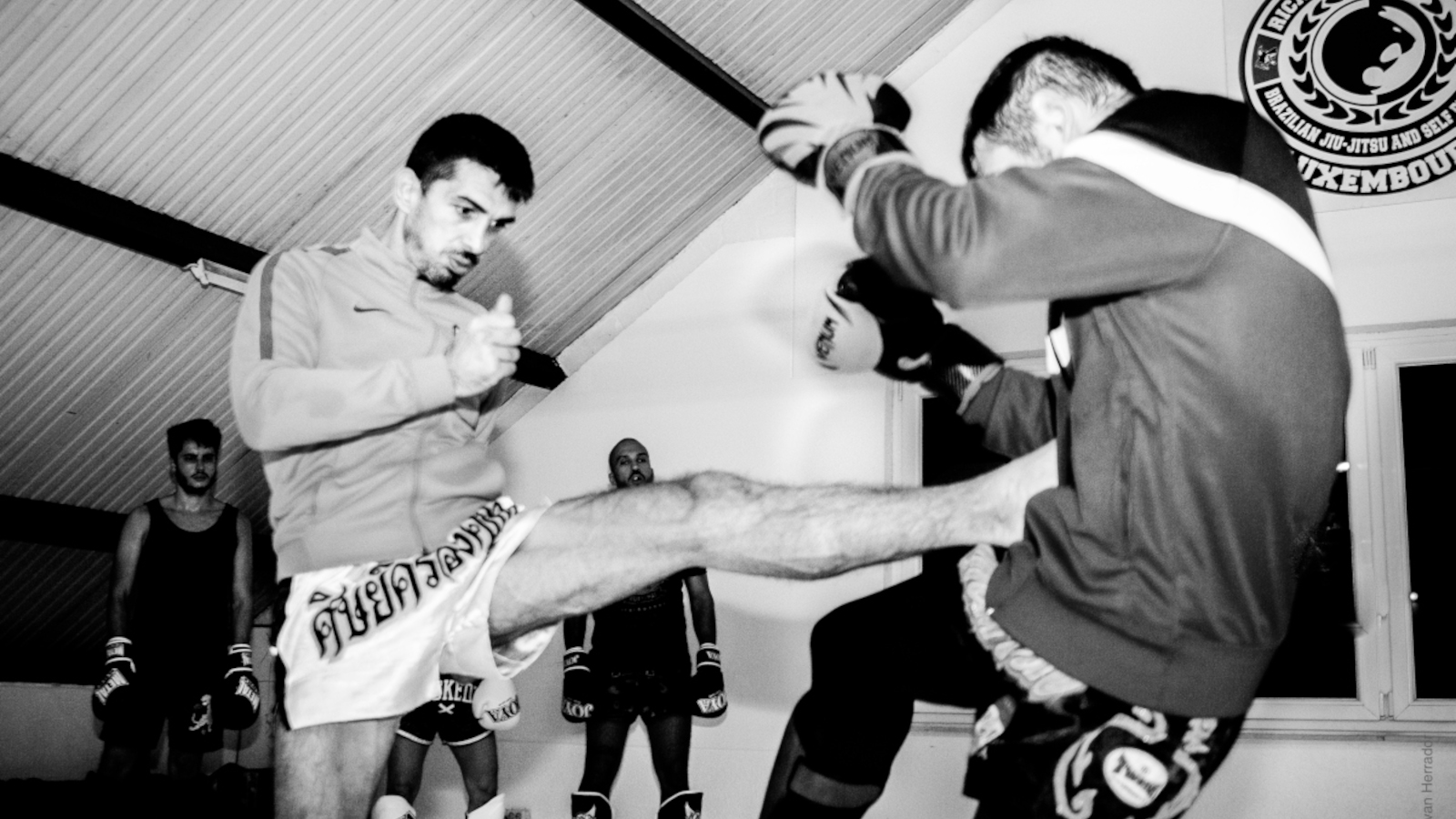 Fight Team Impact – A Home for Martial Arts in Luxembourg